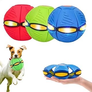 Brinquedo Interativo para Pet´s & Natureza